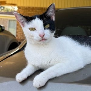 Meet your Posher, Lindsey